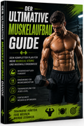 Der Ultimative Muskelaufbau Guide